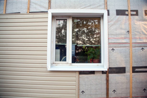 Best Insulated Siding Installation  in Ripon, WI