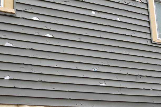 Best Fiber Cement Siding Installation  in Ripon, WI